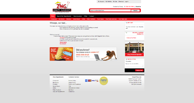 New Project Completed: Shop at Zing
